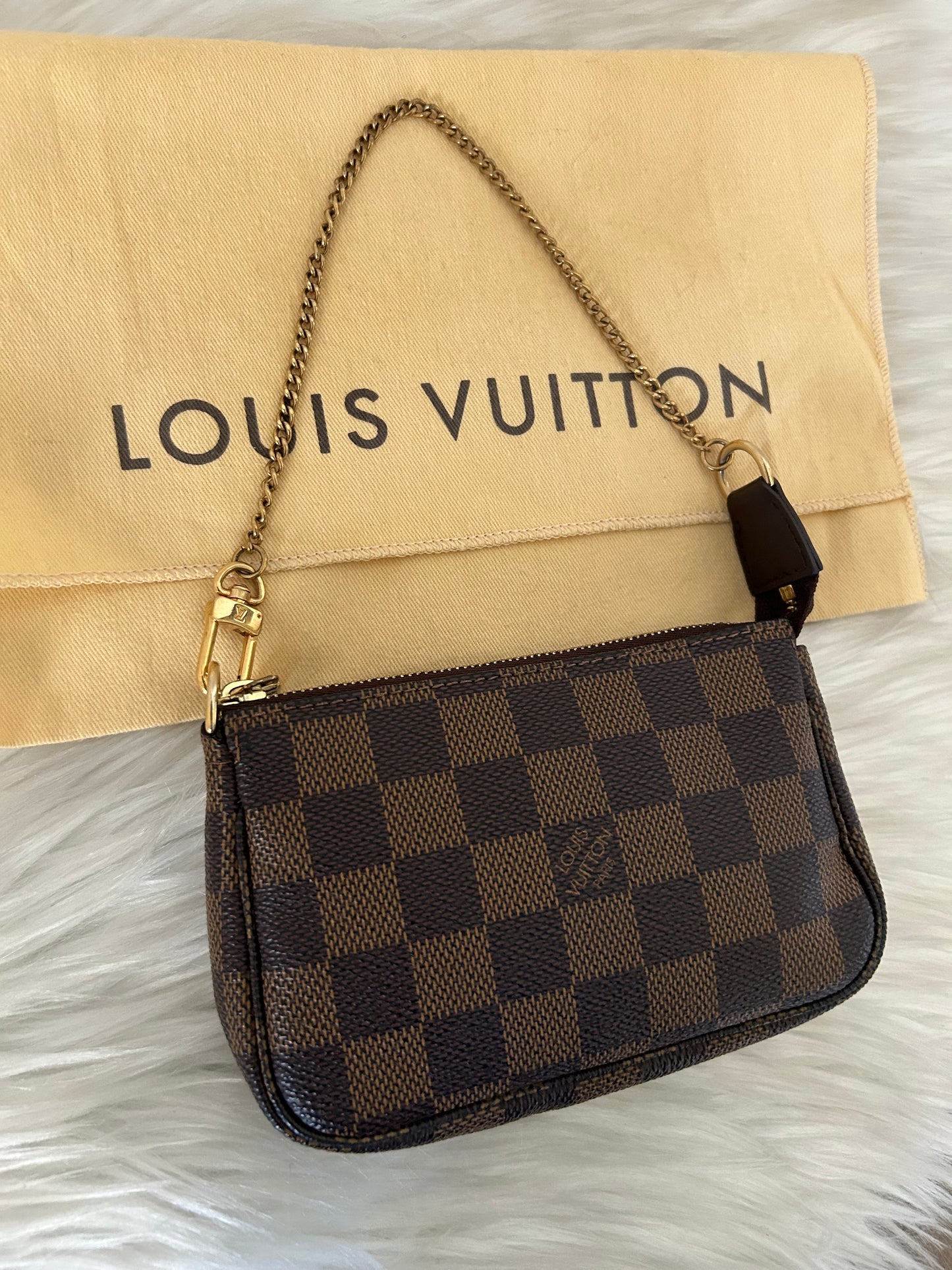 Louis Vuitton Pochette Accessoire Damier