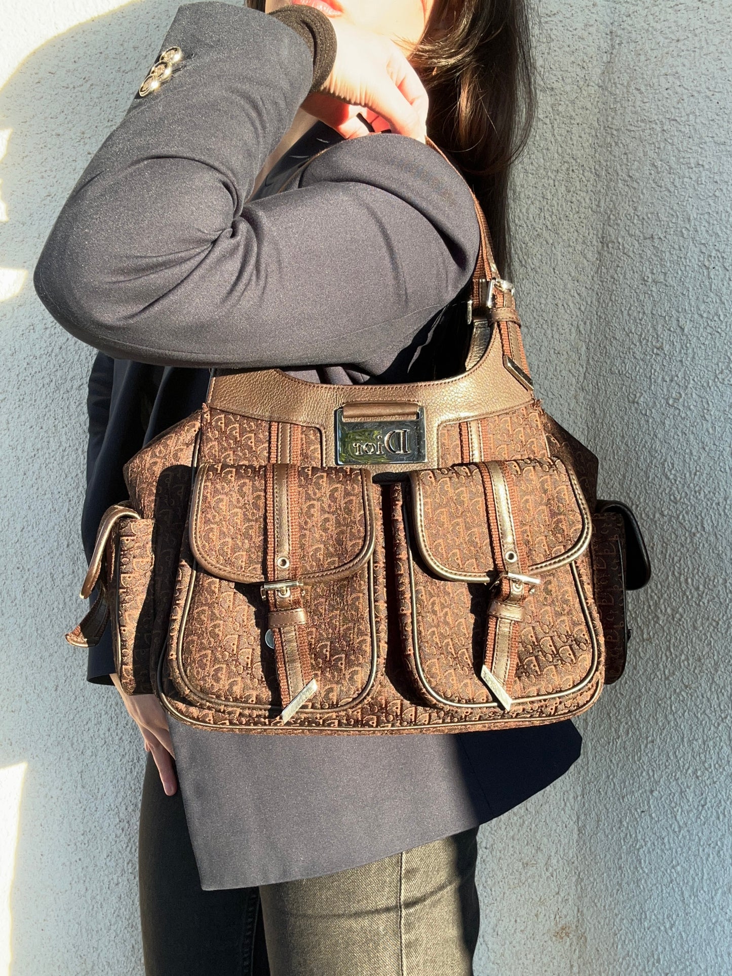 Dior Street Chic hobo tote