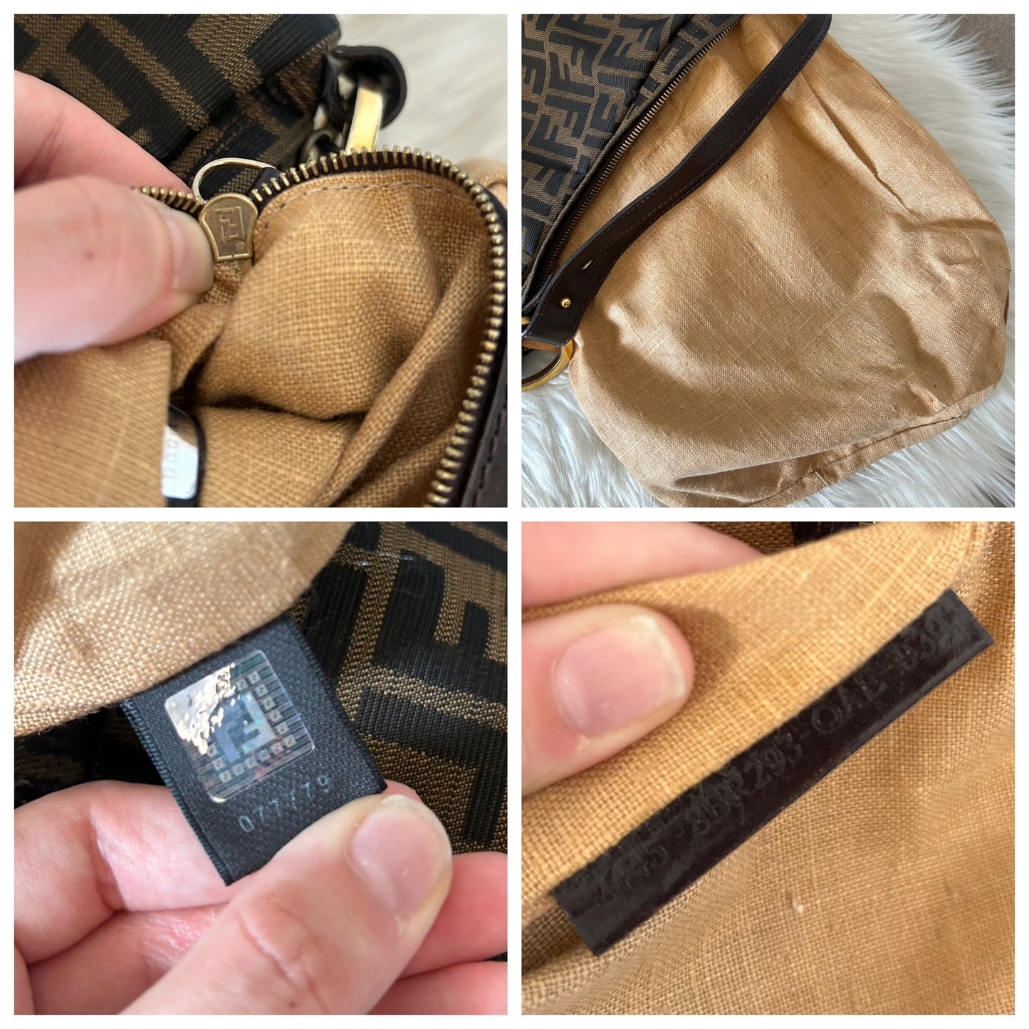 Fendi Oyster zucca