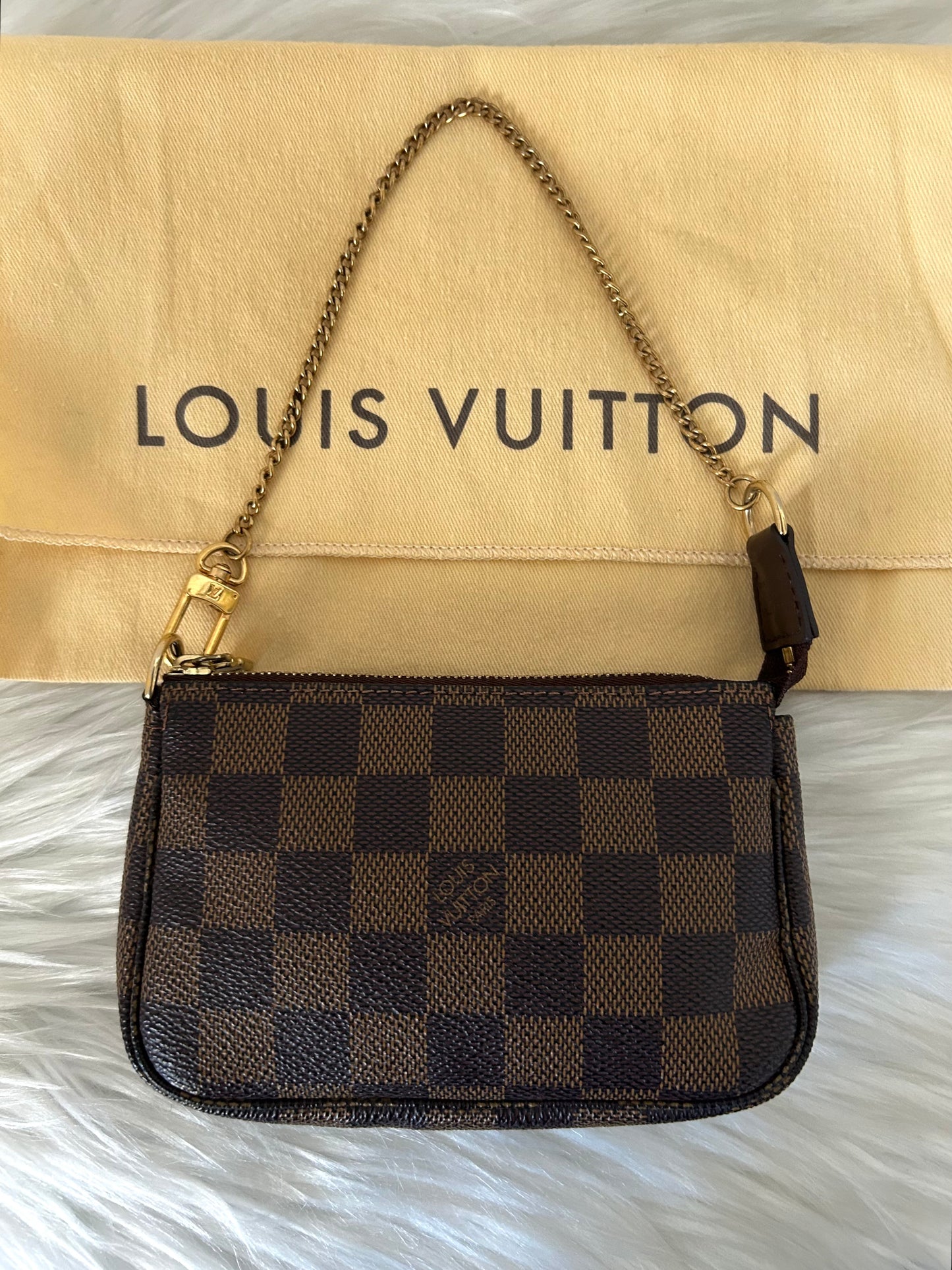 Louis Vuitton Pochette Accessoire Damier