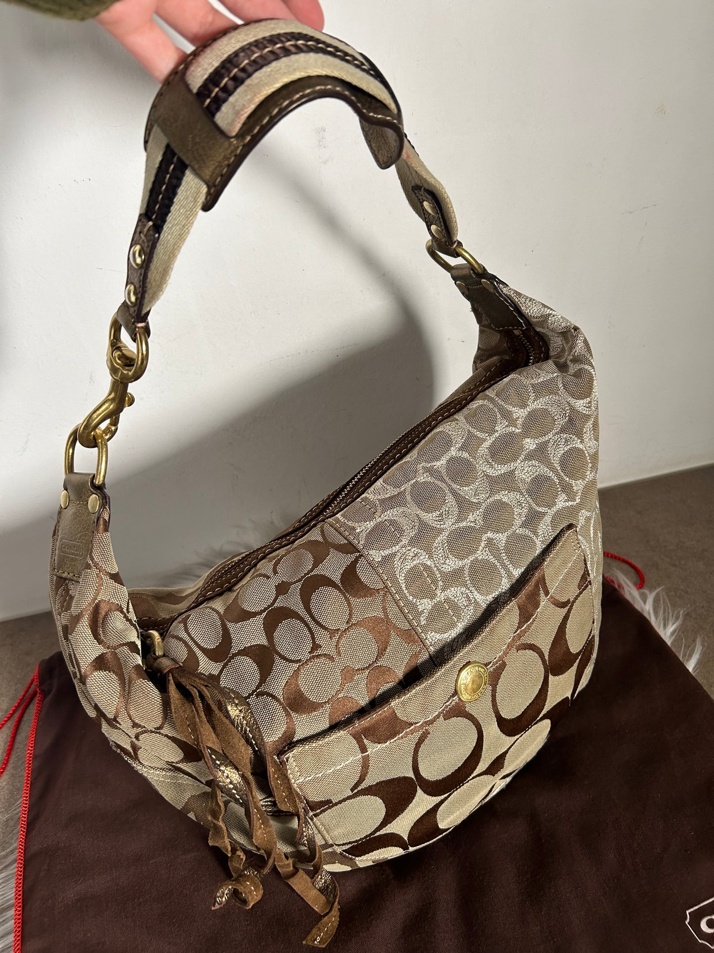 Coach Hobo vintage in monogram