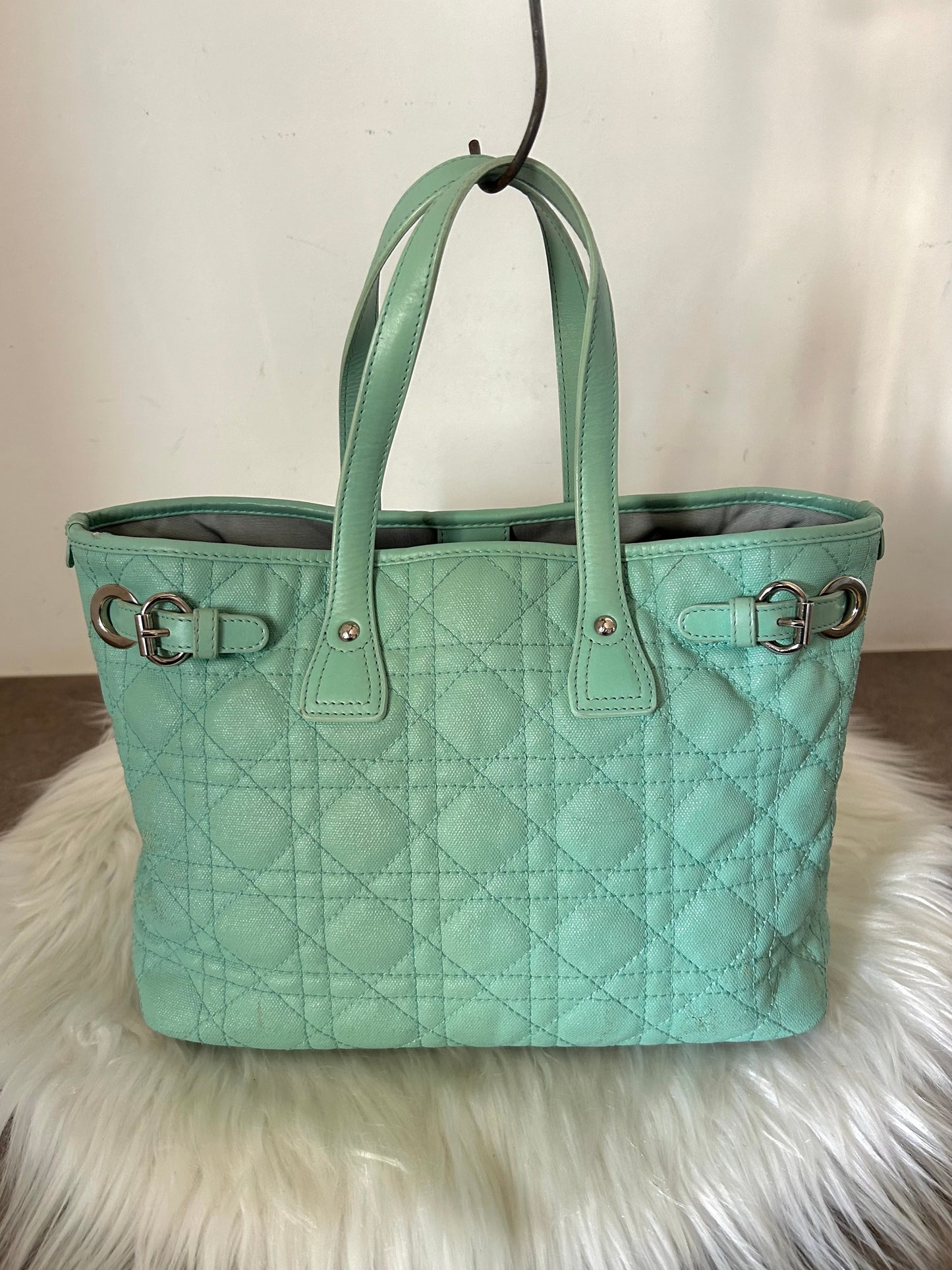 Dior Panorama verde acqua in pelle