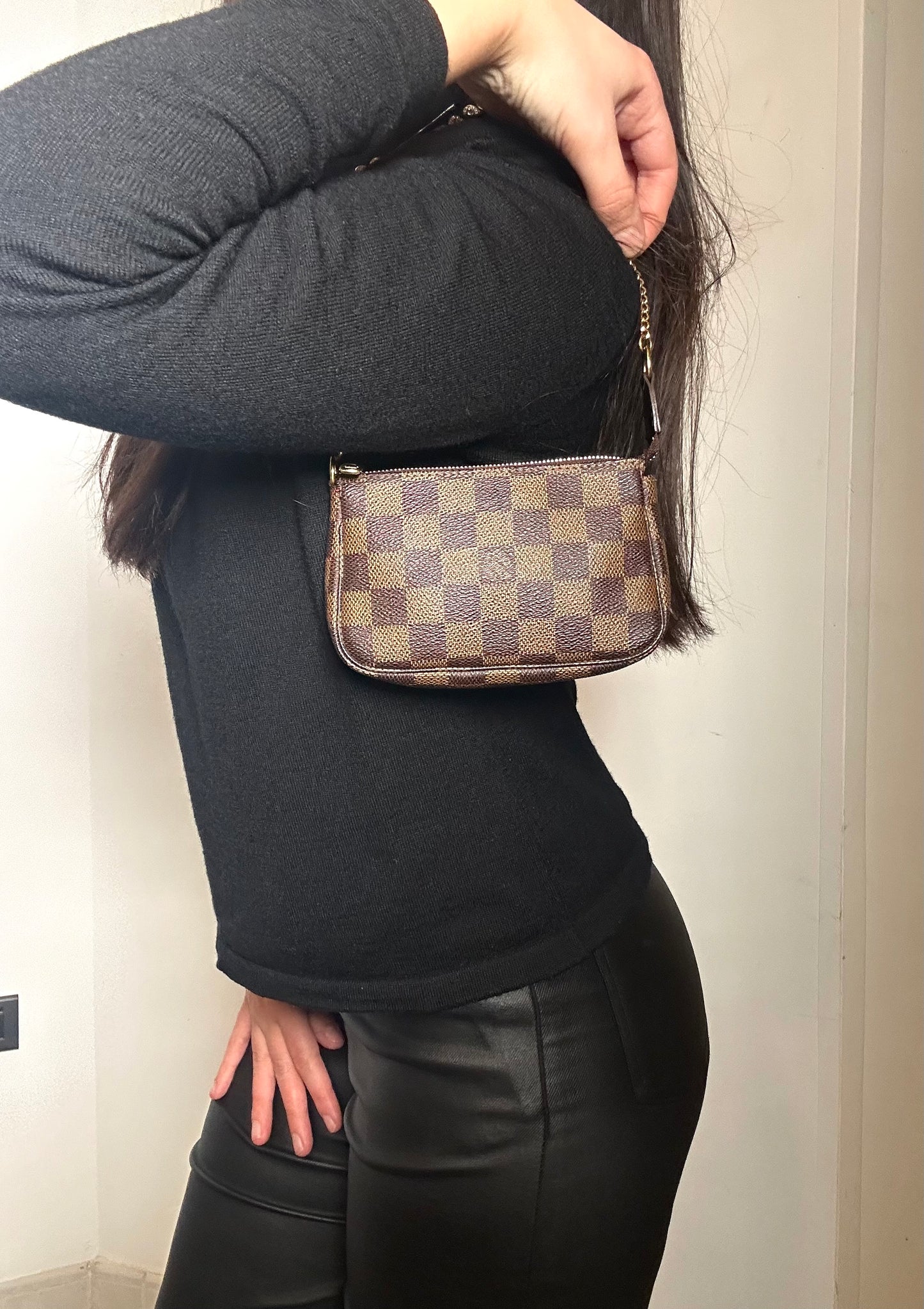 Louis Vuitton Pochette Accessoire Damier