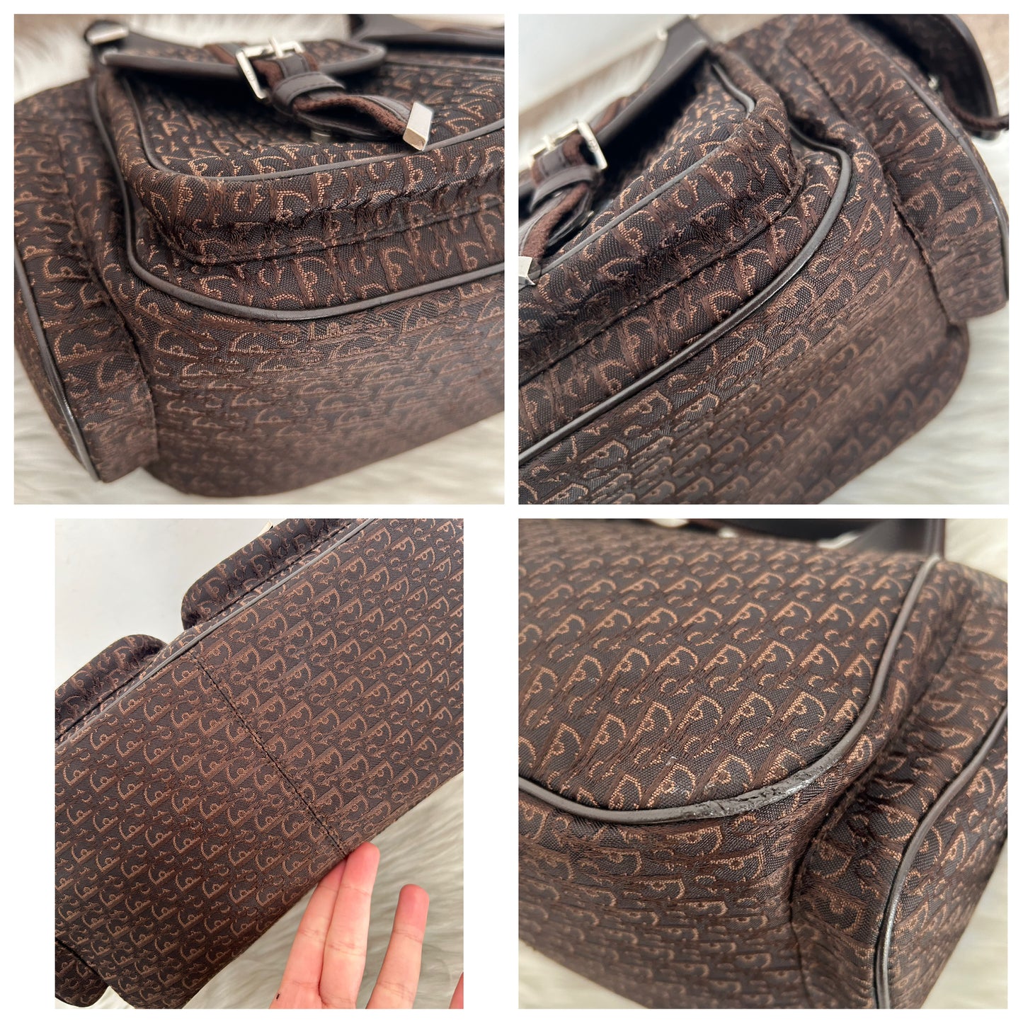 Dior Street Chic hobo tote