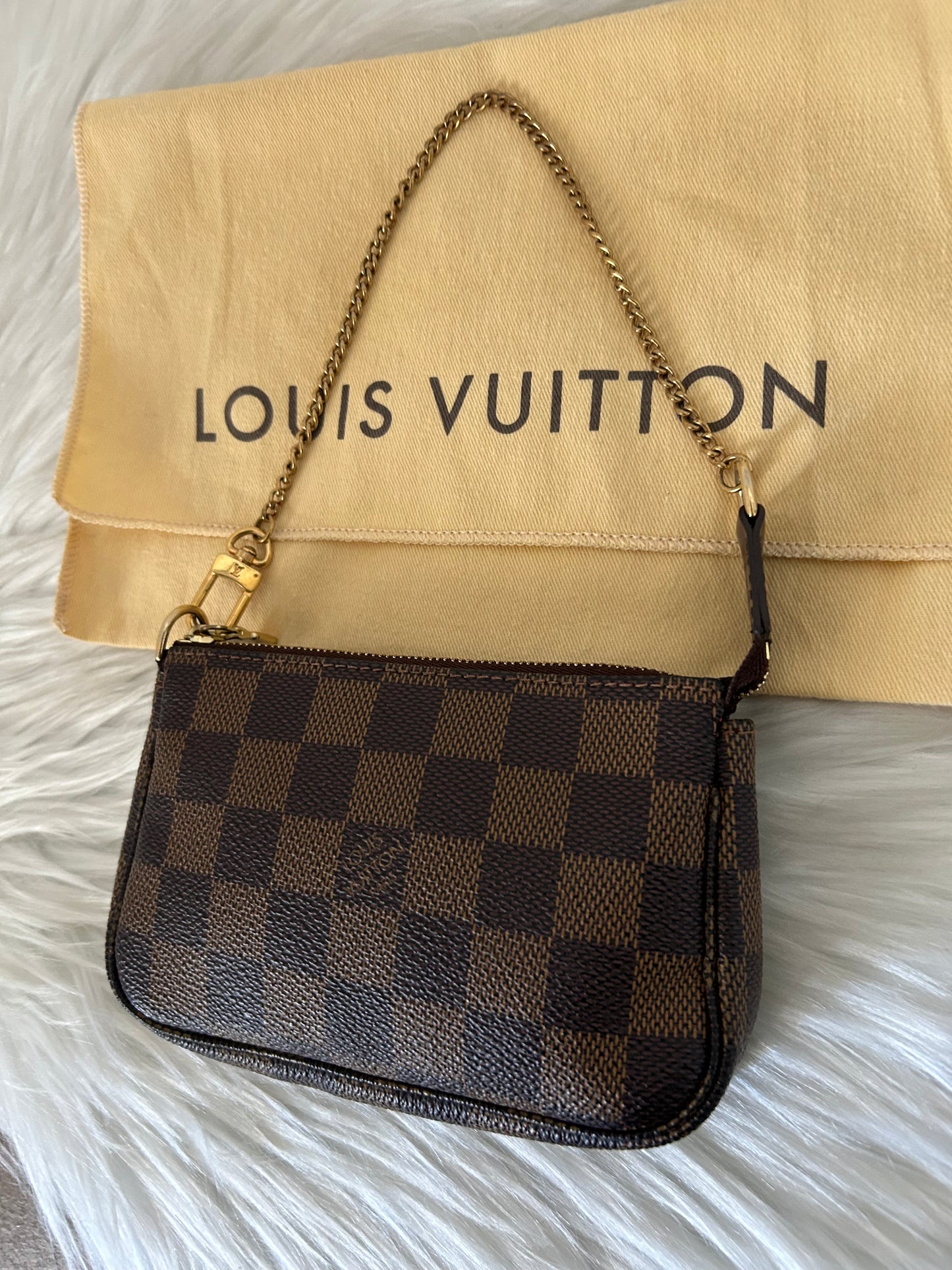 Louis Vuitton Pochette Accessoire Damier