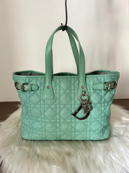 Dior Panorama verde acqua in pelle