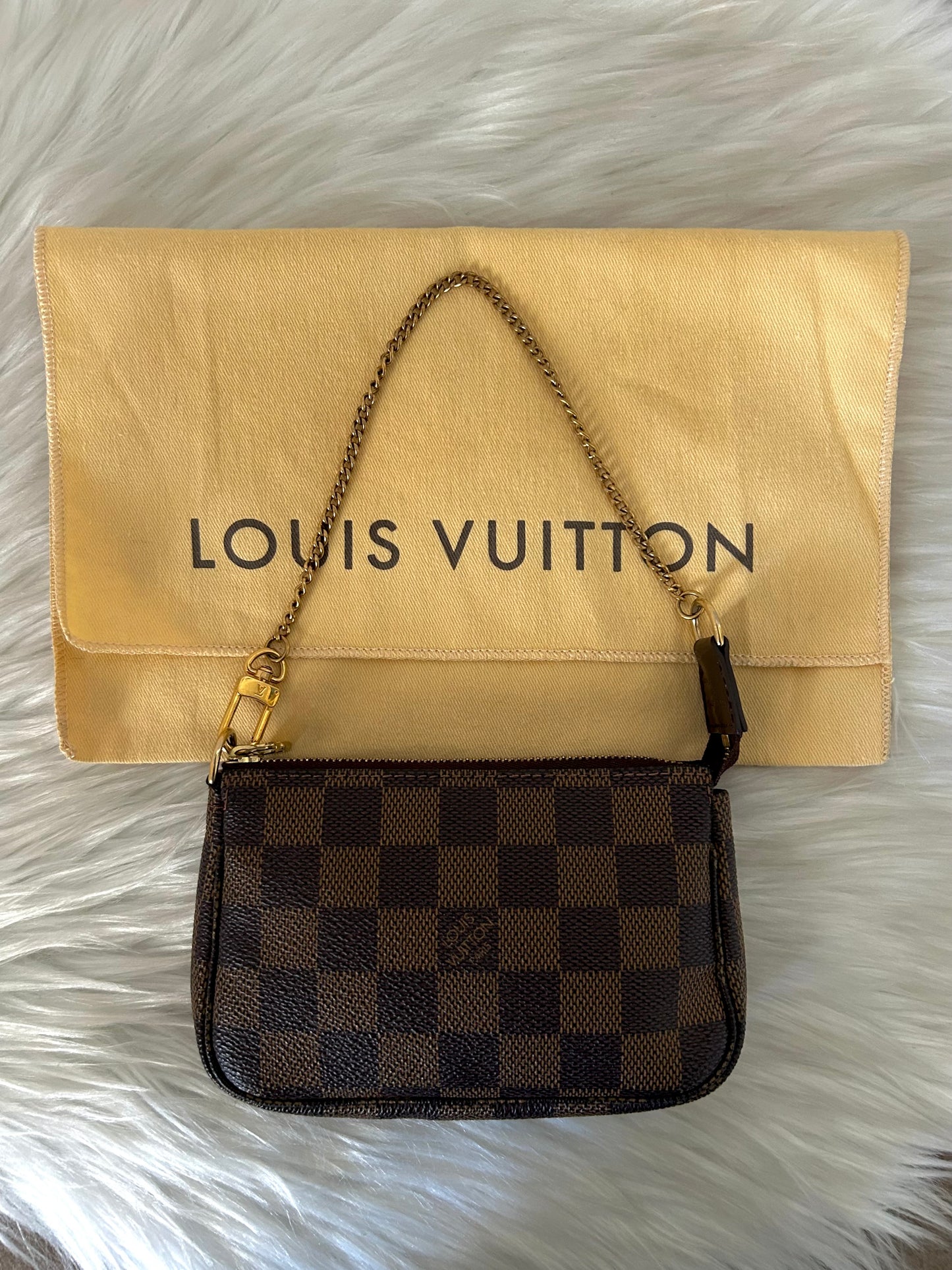 Louis Vuitton Pochette Accessoire Damier
